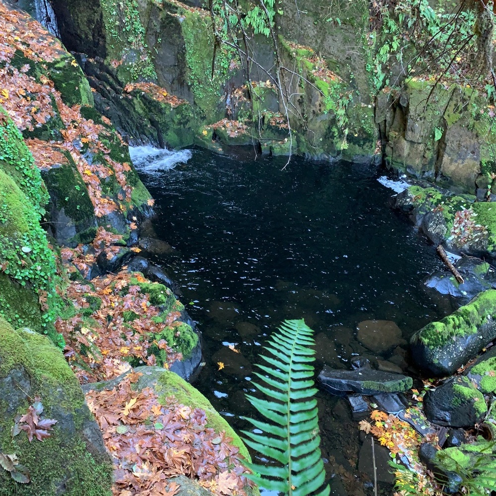 Meet your Posher, Tara